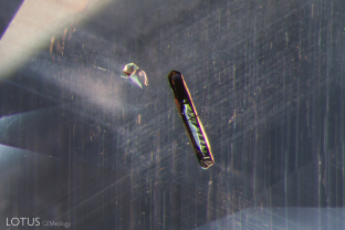 Two types of rutile can be viewed in t his inclusion scene: fine rutile “silk” needles and the dark brownish primary rutile crystal present in the foreground. The primary rutile was identified with micro Raman.