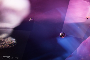 Zoned texture clouds create a milky, bluish girasol effect in this sapphire. We can also observe a small metallic crystal, likely a sulphide, in this untreated sapphire.