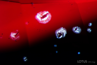 Several crystals in this ruby from Madagascar are surrounded by small reflective fissures.