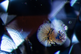 An iridescent fissure shines in this sapphire from Montana. Specimen courtesy Dacques Nini.