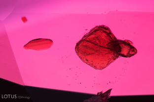 These bright red crystals stood out against their ruby backdrop. Analysis with micro Raman identified them as staurolite. Staurolite has been previously reported in other rubies from East Africa.