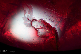 A combination of fillers of different lusters can be observed on the surface of this ruby. On the top left, the lower luster area is glass filling. On the bottom right, the area displayed could be easily scratched, and was likely dopping varnish or a similar substance.
