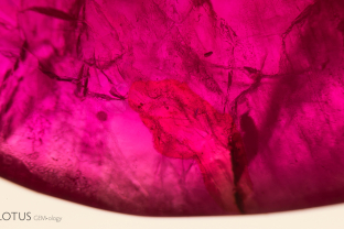 This cavity in a ruby was filled with a yellowish, waxy substance, probably dopping varnish. In transmitted light, we can observe a slight difference in color between the filler and the surrounding ruby.
