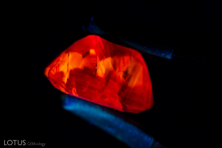 Vibrant orange and red color zoning can be seen in this sapphire under a longwave UV torch.