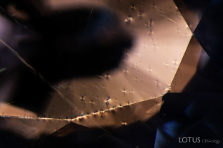When this heat and pressure treated sapphire was viewed under crossed polars, several small strain patterns became visible.