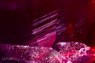 Silk/needles in Tanzania red spinel. Spinels from Tanzania’s Mahenge area often show a turbid appearance due to fine exsolved particles; in less common cases, actual needles can be seen. A fingerprint inclusion is also  shown.