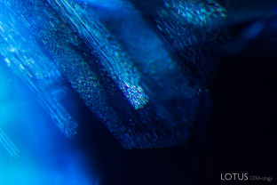 Under magnification, bands of dislocations can be observed in this blue spinel. These features are often observed in spinels from Vietnam.