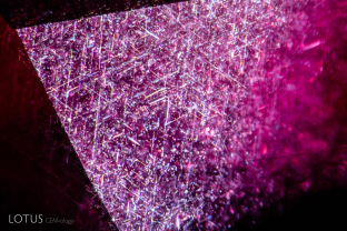 The silk in many East African rubies is not pure rutile, but contains an Fe component, creating tiny daughter crystals at the broad end of the rutile twins. These tiny daughter crystals are more  heat-sensitive than the rutile, often developing mottled spots after heat treatment. That is not present in this stone, suggesting it is unheated.