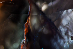 Once exposed to longwave ultraviolet light from a torch, the filling in this fissure becomes evident, displaying an orange glow.
