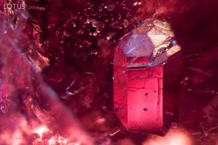 A euhedral prismatic crystal, likely apatite, stands out in its spinel host.