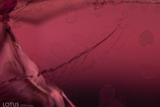Viewed in transmitted light, the fissure in this ruby displays a subtle dendritic pattern.