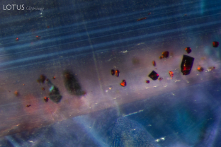 A sprinkling of orangey red crystals can be observed in this basalt related sapphire. The crystals are likely pyrochlore.