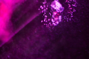 A striking crystal (likely mica) is framed by a beautiful rosette in this ruby from Mozambique.