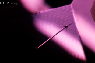 Cupid’s arrow. An arrow-shaped inclusion pierces the heart of this pink sapphire.
