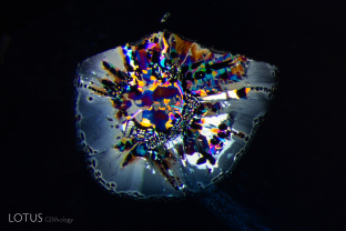 Iridescent thin films surround a small negative crystal in this basalt related sapphire. Note the hexagonal shapes present, which echo the crystal structure of the corundum host.