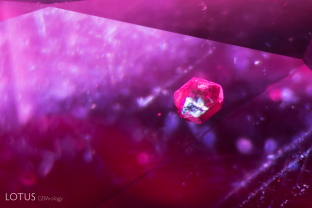 This type of inclusion scene is typical for untreated Mozambique ruby. A blocky crystal can be observed, suspended in between layers of “silk” needles and platelets.