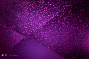 On rare occasions, we encounter synthetic gems that have been subjected to heat or diffusion treatment. Here we see crackling at the surface of a diffusion-treated synthetic ruby. 