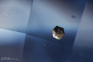 This nicely shaped hexagonal crystal caught our eye as we were testing its sapphire host. Analysis with micro Raman identified the metallic crystal as graphite.