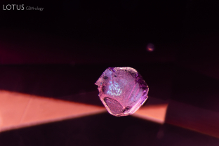 Amazing apatite. Apatite crystals (like this one, which was identified with micro Raman, are common guests in spinels. 