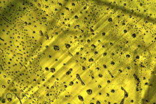 In this beryllium-diffused green sapphire, the high-temperature heating has healed a former fissure and the pockets of residue show clear rounding and necking down. Some also show shrinkage bubbles as the glassy material cooled and thus occupied less space, creating the bubble in the cavity. Angular growth zoning can be seen in the background.