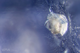 The classic Kashmir sapphire locality above Sumjam in India produces crystals that may contain a variety of solid inclusions. We analyzed this example, with microRaman, which showed it to be diaspore—α-AlO(OH)—aluminum hydroxide.