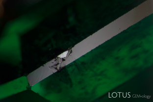 This schist-hosted emerald revealed an intriguing surface-reaching agglomeration of pyrochlore (high-than-host luster) and phlogopite mica (similar-to- and lower-than-host lusters); identified by micro Raman spectroscopy.