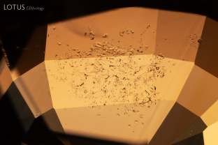 High temperature heat treatment melted the surface of this sapphire, resulting in recrystallized corundum at and just below the surface.