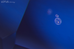 A pair of tiny crystals surrounded by bubbly fingerprints provide evidence that this sapphire has been heated.