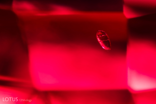 A small, rounded crystal can be seen suspended in this spinel. Analysis with micro Raman identified it as a dolomite.