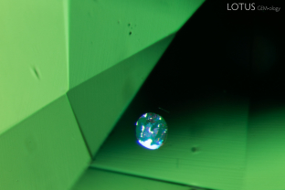 A small reflective platelet peeks through in one corner of a tsavorite garnet.