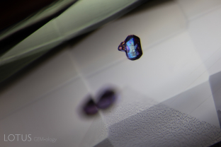 This blue sapphire from Myanmar’s Mogok Valley contains several prismatic apatite crystals. Observation between crossed polarized filters reveals not only the bright interference colors of the apatite, but also of its sub-inclusions.