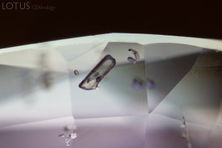 A multitude of prismatic apatite crystals are dispersed across this blue sapphire from Mogok, Myanmar. Apatite, a calcium phosphate mineral, is a common guest in corundum and many other gemstones.