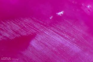 Fine streams of “rain-like” particles in a heated flux grown synthetic ruby.