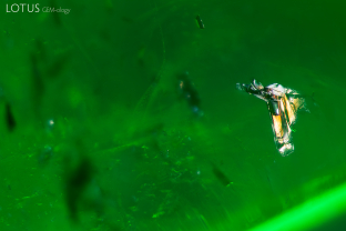 A crystal (likely mica) with an iridescent surface can be seen in this emerald.