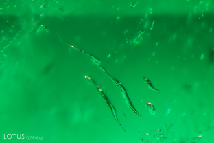 Like ribbons, irregular negative crystals decorate the interior of this emerald.
