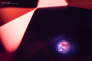 This spinel contains a rounded forsterite crystal (identified with micro Raman), surrounded by two layered halos of fine, milky particles.
