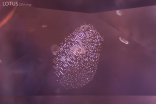 God’s thumbprint. When magnified, a partially healed fissure can be seen in this sapphire. It’s easy to see why gemologists have nicknamed these inclusions “fingerprints.”