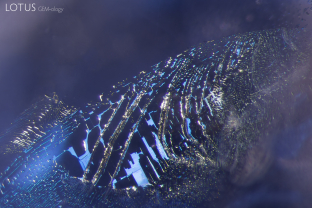 A partially healed fissure, or fingerprint, can be observed in this sapphire. The angular healing patterns form naturally due to the crystalline structure of the gem.