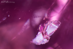 Suspended in time, a negative crystal encapsulates part of the Earth’s history in this pink sapphire.