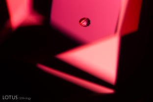 Under magnification, a small, transparent crystal stands out in this spinel. This is likely a carbonate or apatite.