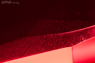 Under the girdle of this spinel, a tiny “fingerprint,” or partially healed fissure, can be spotted.