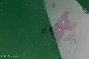 A cluster of crystals (likely mica) reaches the surface of this Zambian emerald. When exposed to the gentle heat of the microscope light, oil droplets leaked out at the boundary between the inclusions and the host.