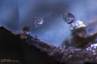 A bubble is present in this cavity in a blue sapphire treated with heat and pressure. With the gentle heat of a hot point, we observed that the bubble is mobile. It is unusual to see a mobile bubble present in a heated sapphire, as they may make cavities explode when heated, but it is possible that the addition of pressure kept this inclusion intact.