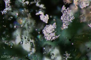 Iridescent platelets (likely ilmenite) stand out against a verdant background in this Zambian emerald. Some areas of the platelets have dendritic shapes, while others show hexagonal forms.