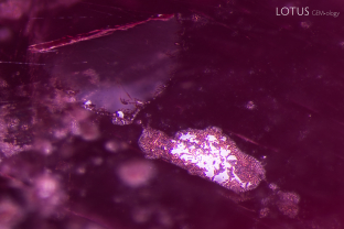 While still rare in the market, some spinels are heat treated. We identified that this stone was heated through a combination of the PL (photoluminescence) spectrum and the inclusions, which show signs of melting.