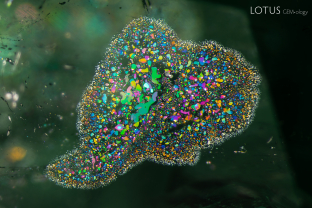 Iridescent two-phase thin films, as seen here, are common feature in emeralds from Russia. Some observers noted that this cluster resembles and elephant’s head.