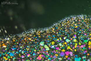 Iridescent two-phase thin films, as seen here, are common feature in emeralds from Russia.