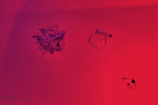 This red spinel from Tanzania’s Mahenge deposit contains thin places of what is probably mica, along with a two low-relief crystals of unknown identity containing embedded black crystals.