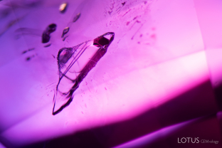 This negative crystal within a ruby contains a gas bubble, which contracts under heating from the fiber-optic light, accompanied by prismatic dark crystals and fine diaspore needles.
