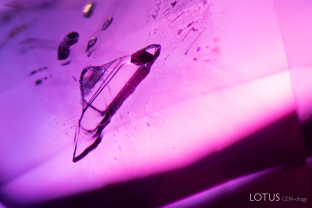 As the gas bubble contracts under fiber-optic light heating, only prismatic dark crystals and diaspore needles remain in this negative crystal.